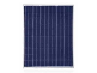 Trina-Honey-Multi-Panels����